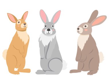 tavşan kümesi düz dizayn, beyaz arkaplan vektörü izole