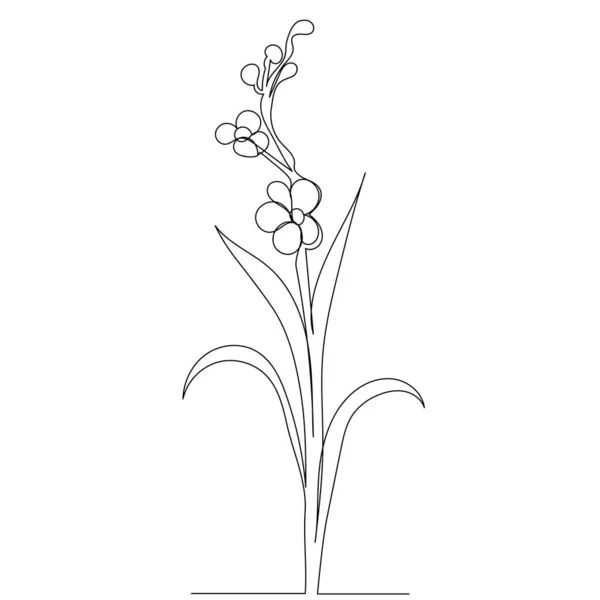 Plant Flower One Line Drawing Outline Vector — Stock Vector