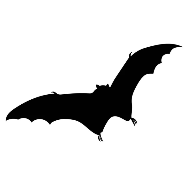 Silhueta Morcego Fundo Branco Vetor Isolado —  Vetores de Stock
