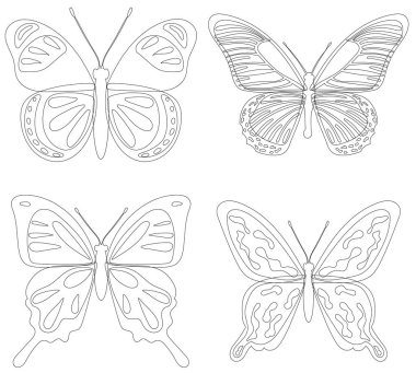 Kelebekler ana hatlarıyla, beyaz arka planda çizimler
