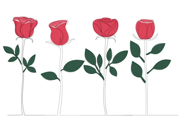 Rosen Eine Linienzeichnung Umriss Vektor — Stockvektor