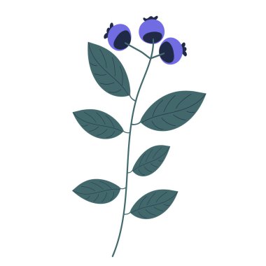 Çiçekler, bitkiler düz tasarım, karikatür izole