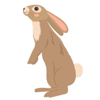 tavşan, tavşan çizgi film dekoratif düz tasarım, izole vektör