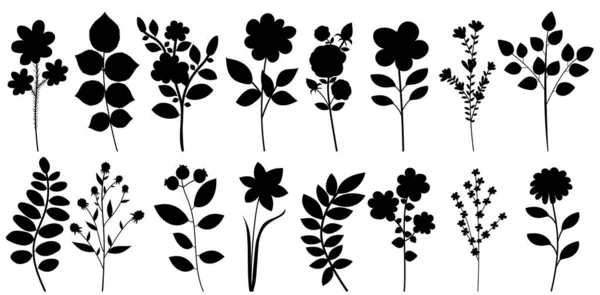 Plants Flowers Set Silhouette White Background — Stock Vector