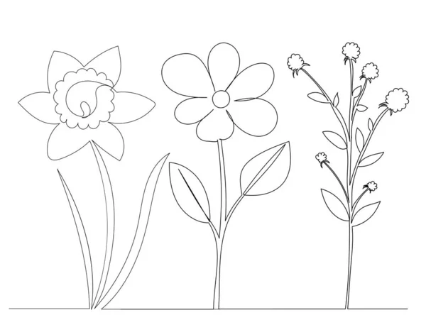 Dibujo Flores Una Línea Boceto Contorno Vector Aislado — Vector de stock