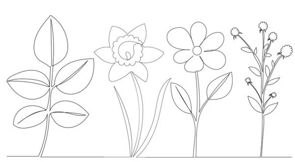 Цветы Рисующие Одной Строкой Эскиз Контур Изолированные — стоковый вектор