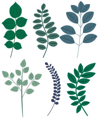 yapraklar düz dizayn, izole vektör