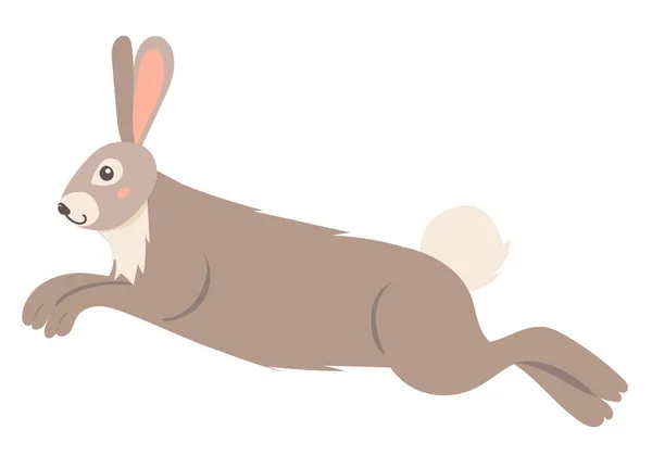 Hare Rabbit Jumping Cartoon Flat Design Isolated Vector — Stock Vector