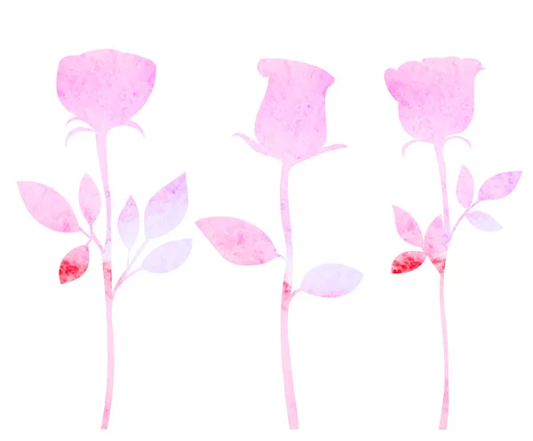 Rosas Silhueta Aquarela Sobre Fundo Branco Vetor Isolado —  Vetores de Stock