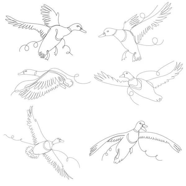 Patos Voladores Dibujo Una Línea Boceto Contorno Vector Aislado — Archivo Imágenes Vectoriales