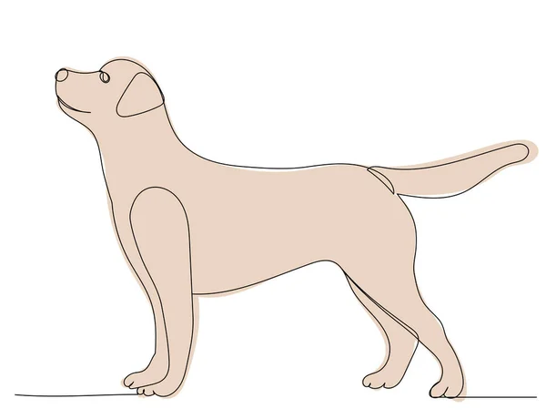 Hundar Linje Ritning Skiss Kontur Isolerad — Stock vektor