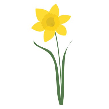 beyaz arkaplan üzerinde düz çiçek tasarımı, izole