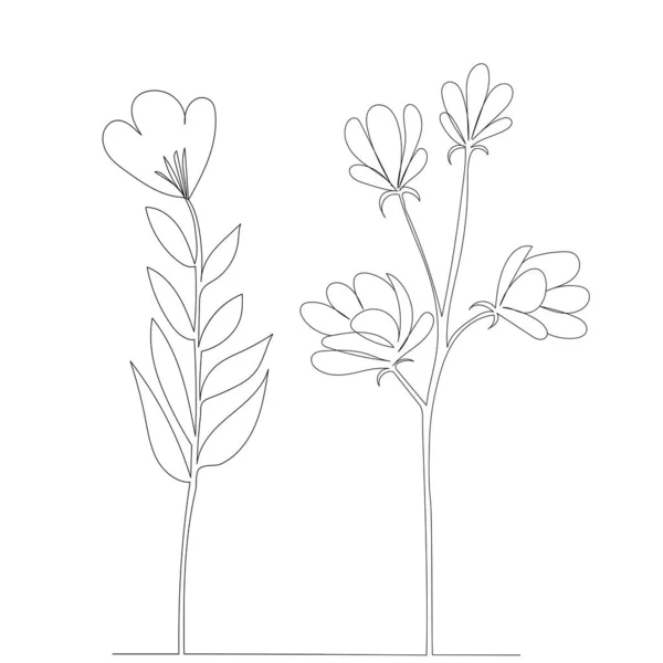 Flowers Drawing One Continuous Line Isolated Vector — Stock Vector