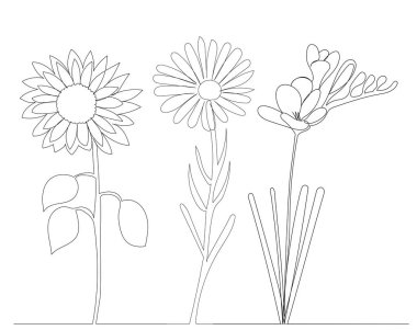 Tek bir çizgi halinde büyüyen çiçekler, izole edilmiş bir vektör.