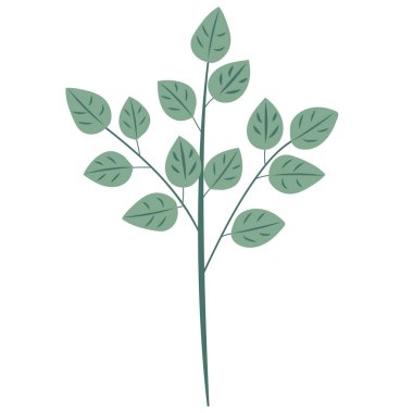 Beyaz arkaplanda yaprak düz tasarımı, izole edilmiş vektör