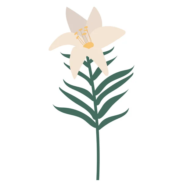 Motif Plat Fleur Lis Sur Fond Blanc Vecteur Isolé — Image vectorielle