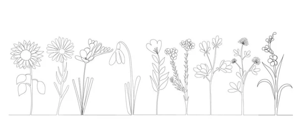 生长中的花朵画在一条线上 相互隔离 — 图库矢量图片