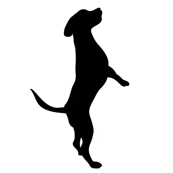 Hund Schwarze Silhouette Isolierter Vektor — Stockvektor