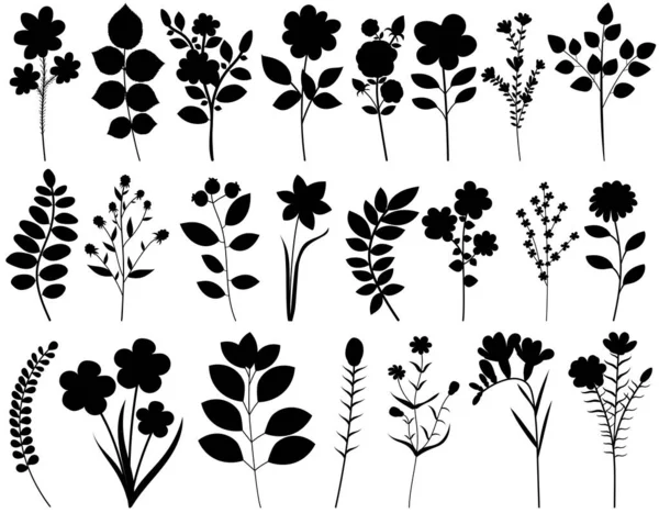 Plantas Flores Conjunto Silueta Colección Vector Aislado — Archivo Imágenes Vectoriales