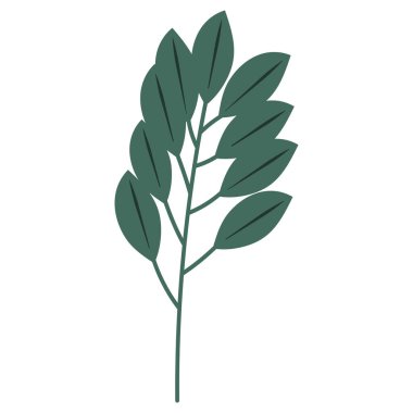 Beyaz arkaplanda yaprak düz tasarımı, izole