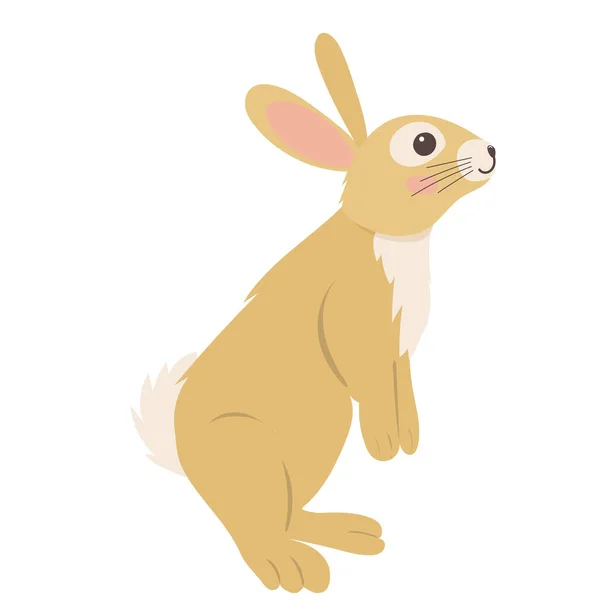 Кролик Заєць Плоский Дизайн Білому Тлі Ізольований Вектор — стоковий вектор