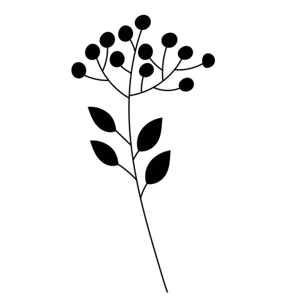 Fleur Plante Silhouette Noire Sur Fond Blanc Isolé — Image vectorielle