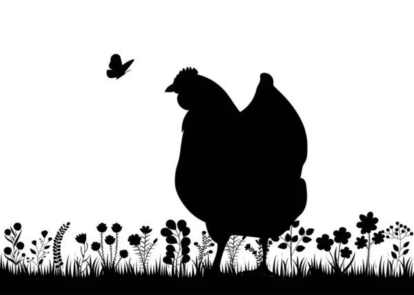 Pollo Nella Silhouette Erba Vettore Isolato — Vettoriale Stock