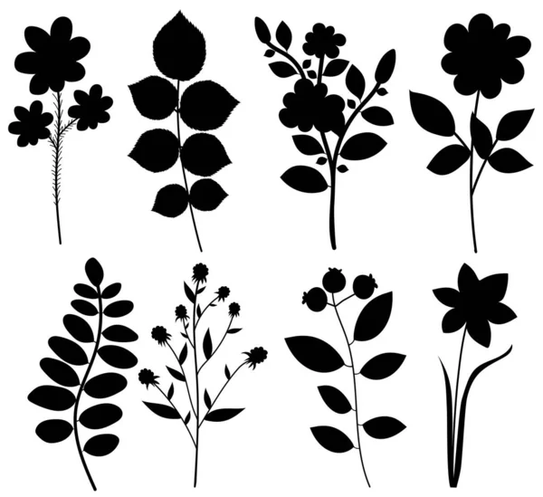 Blad Blomma Svart Siluett Vit Bakgrund Isolerad Vektor Royaltyfria illustrationer