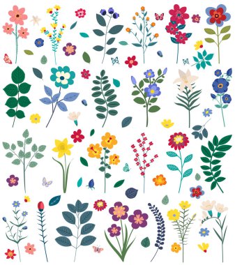 Çiçekler, yapraklar düz dizayn, izole