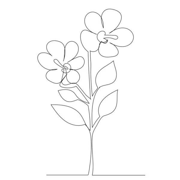 Flower Drawing One Continuous Line Isolated Vector — Stock Vector