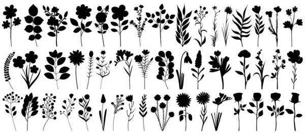 Rośliny Kwiaty Zestaw Sylwetka Kolekcja Izolowane Wektor — Wektor stockowy