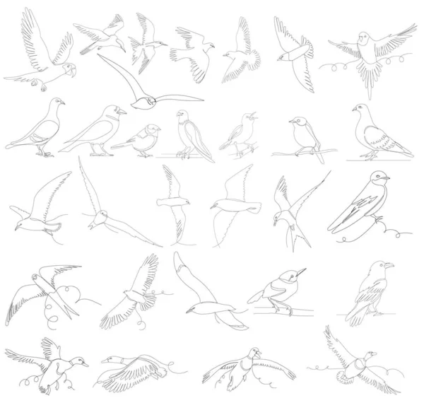 Birds Set One Continuous Line Drawing Isolated Vector — Stock Vector