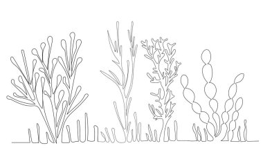 Tek bir çizgi üzerinde yosun çizimi, izole edilmiş vektör