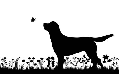 Çimlerdeki köpek siyah silueti izole edilmiş vektör.