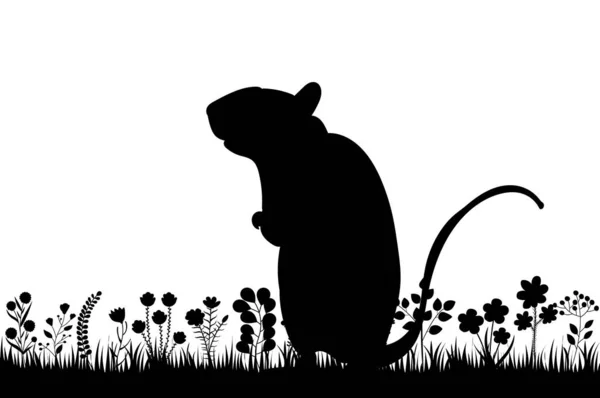 Ποντίκι Αρουραίος Στο Γρασίδι Μαύρο Σιλουέτα Απομονωμένο Διάνυσμα — Διανυσματικό Αρχείο