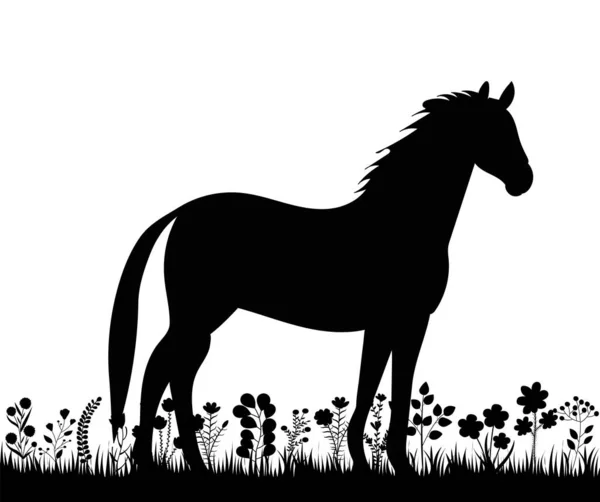 Cheval Dans Herbe Silhouette Noire Vecteur Isolé — Image vectorielle