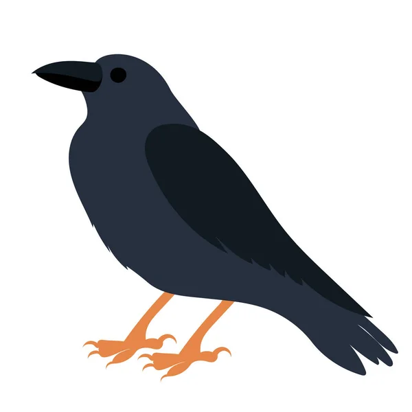Raven Plochý Design Izolovaný Vektor — Stockový vektor