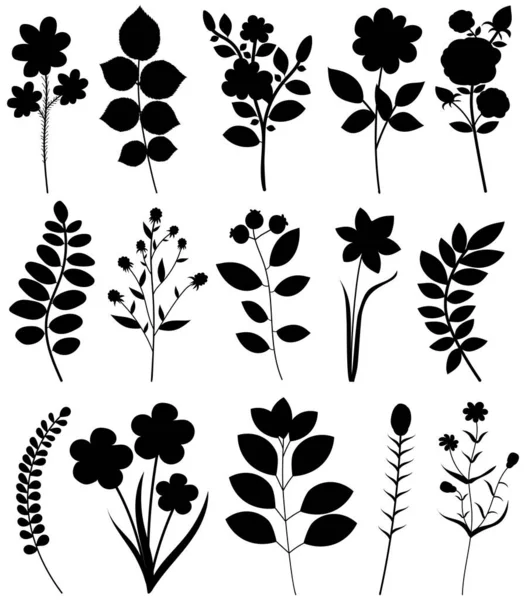 Flores Plantas Conjunto Silueta Aislada — Archivo Imágenes Vectoriales