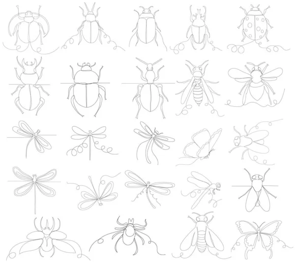 Kresba Hmyzu Jedné Spojité Čáře Izolovaný Vektor — Stockový vektor
