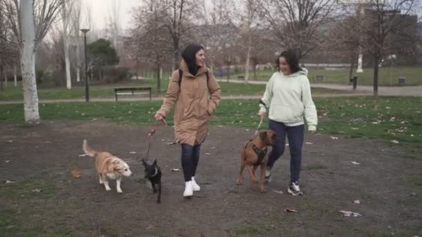 Två vänner går i en park med sina hundar. Hund- och husdjurskoncept — Stockvideo