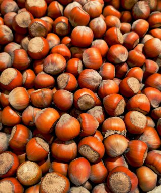 Geçmişi: Kahverengi kabuklu fındık hasadı. Olgun, parlak, iştah açıcı, kuru fındık. Hurda altın-kahverengi bakır filbert çekirdekleri, corylus. Seçici odak, yakın çekim, üst görünüm