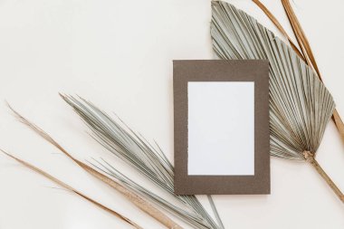 Minimal Summer kırtasiyesi hala hayat sahnesi. Boş bir kart ve bej renksiz arka planda tropikal palmiye yaprağı kullan. Boş tebrik kartı, düğün davetiyesi sahnesi. 