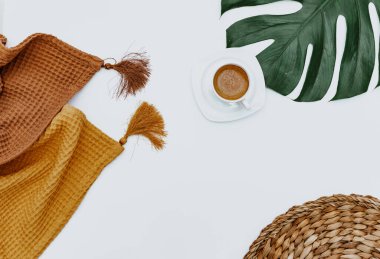  Beyaz arka planda canavar yapraklı kahve. Sıcacık bir hayat. Yukarıdan bak. Düz yatıyordu.