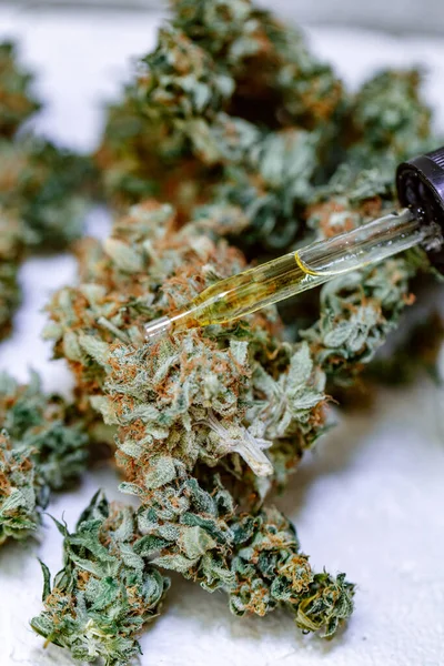 Hierba Cannabis Hojas Con Extractos Aceite Frascos Concepto Médico Marihuana — Foto de Stock