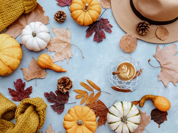 秋のアート構成 ホットドリンク さまざまな乾燥葉 木製の背景にカボチャ 居心地の良い秋 — ストック写真