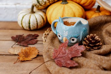 Sonbahar sanat kompozisyonu - sıcak içecek, çeşitli kurumuş yapraklar, ahşap arka planda balkabakları, sıcak sonbahar