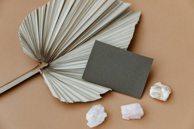 Fotokopi alanı ve bej arka planda kuru palmiye yaprağı olan boş kağıt kağıdı. Minimal ticari marka şablonu. Düz yatış, üst görünüm