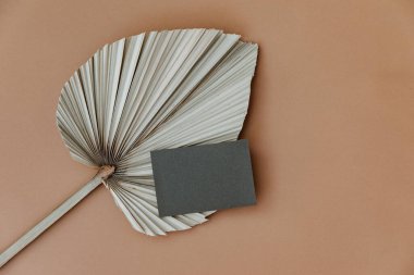 Fotokopi alanı ve bej arka planda kuru palmiye yaprağı olan boş kağıt kağıdı. Minimal ticari marka şablonu. Düz yatış, üst görünüm