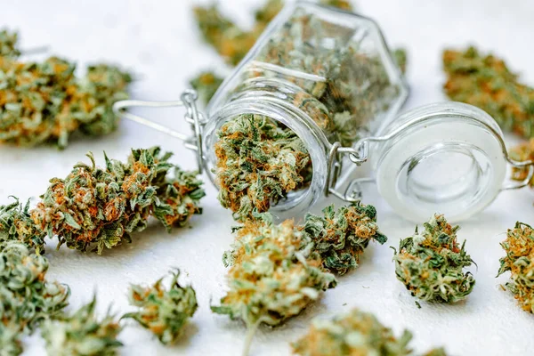 Marihuanové Poupata Olejové Pilulky Cbd Rekreace Čerstvé Listy Konopí Zblízka — Stock fotografie