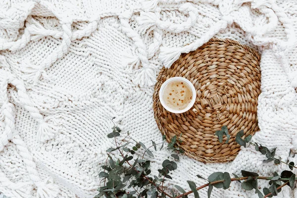 Flach Lag Mit Kaffeetasse Und Eukalyptus Auf Weißem Hintergrund Schönes Stockbild